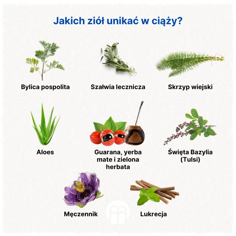 (Polština) Kterým bylinkám se v těhotenství vyhnout